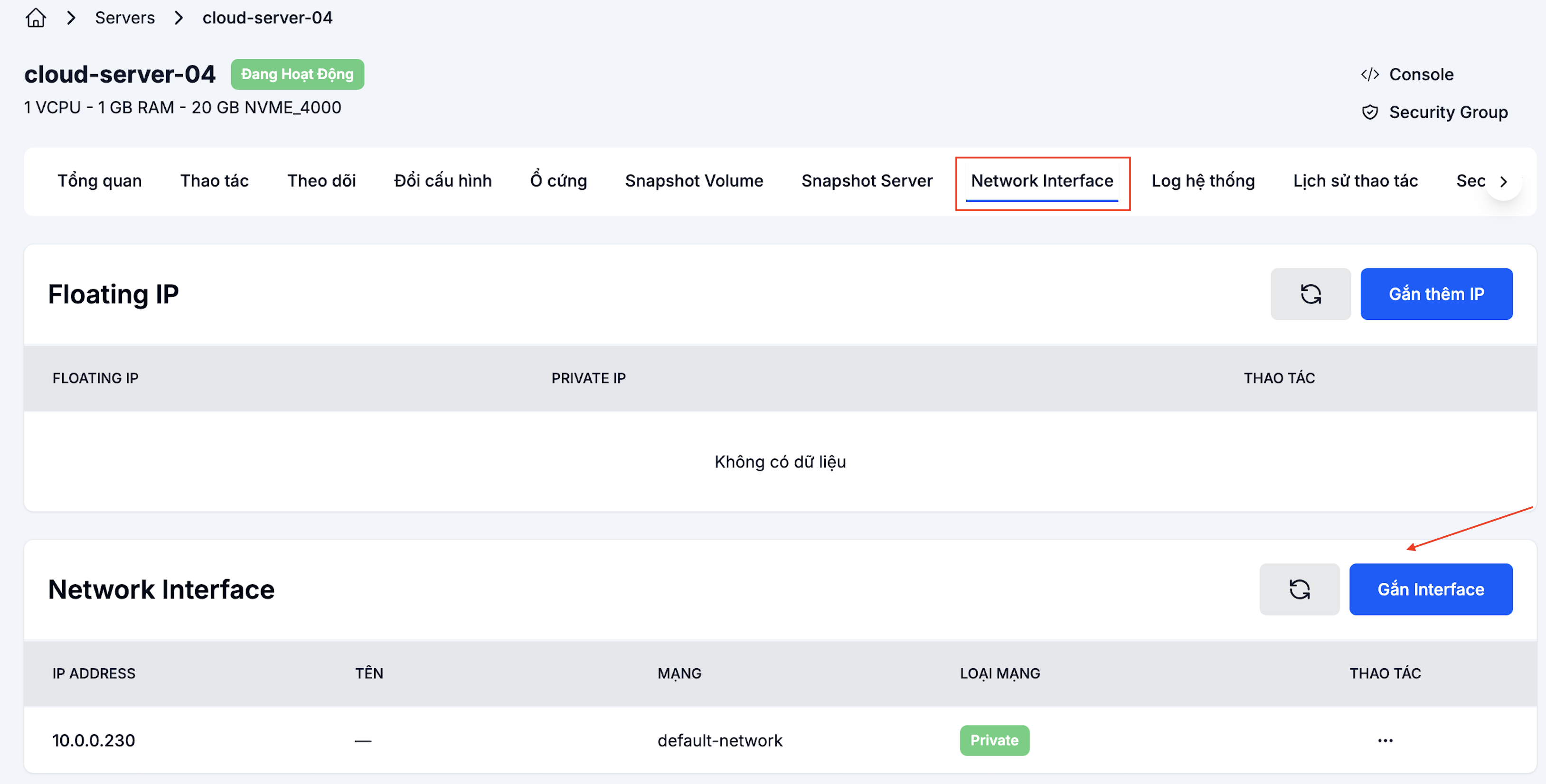 Phần Network interface với nút Gắn interface
