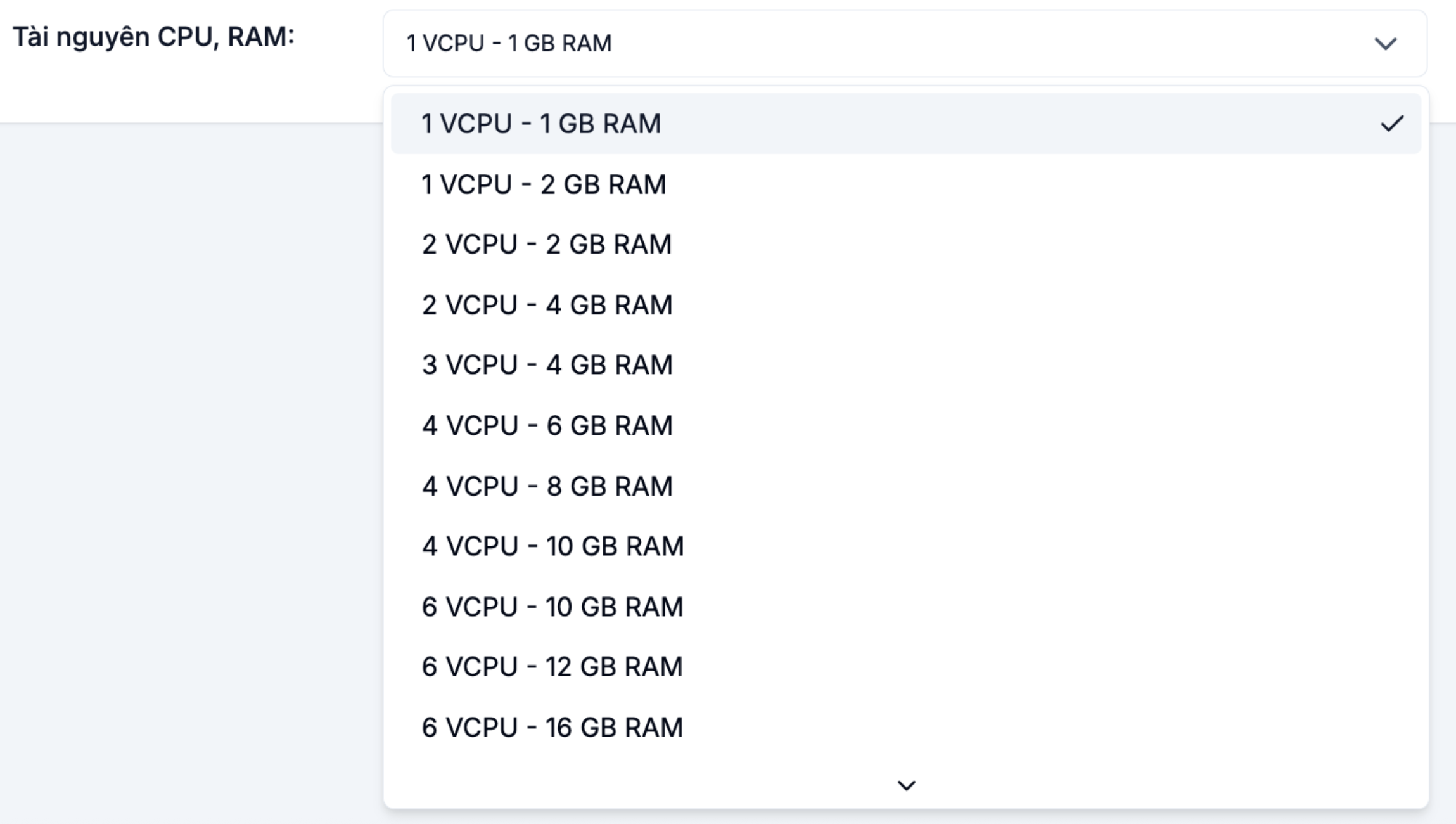 List of available vCPU and RAM plans